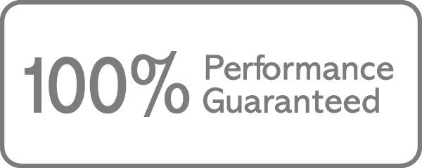 NEW_PICTOS_100_PERFORMANCE.jpg (Print)